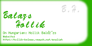 balazs hollik business card